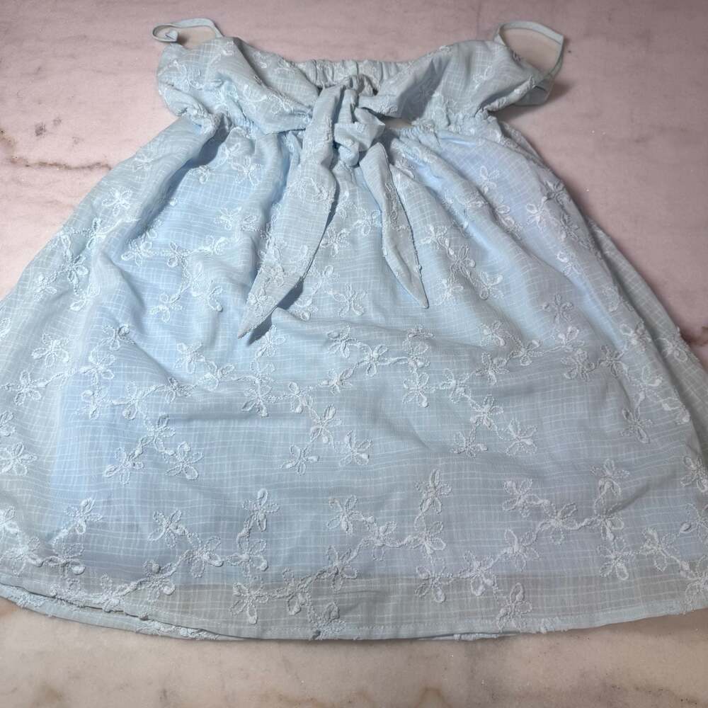 Princess Polly Granno Light Blue Floral Embroidered Mini Dress